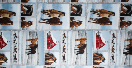 Preview: Designerbaumwollstoff Horse Whisperer Rapport